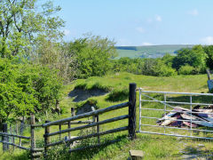 Swffryd Ganol Colliery tips, June 2013